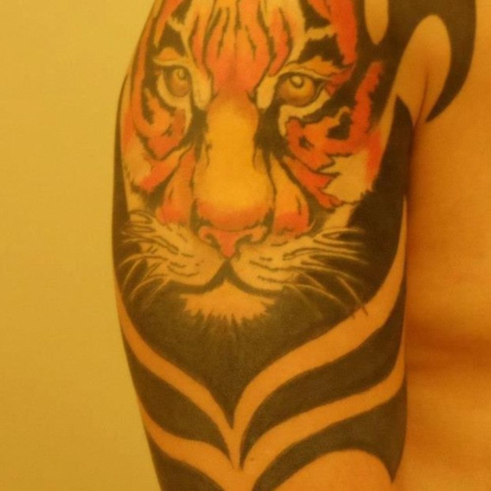 Meet your Posher, Tiger